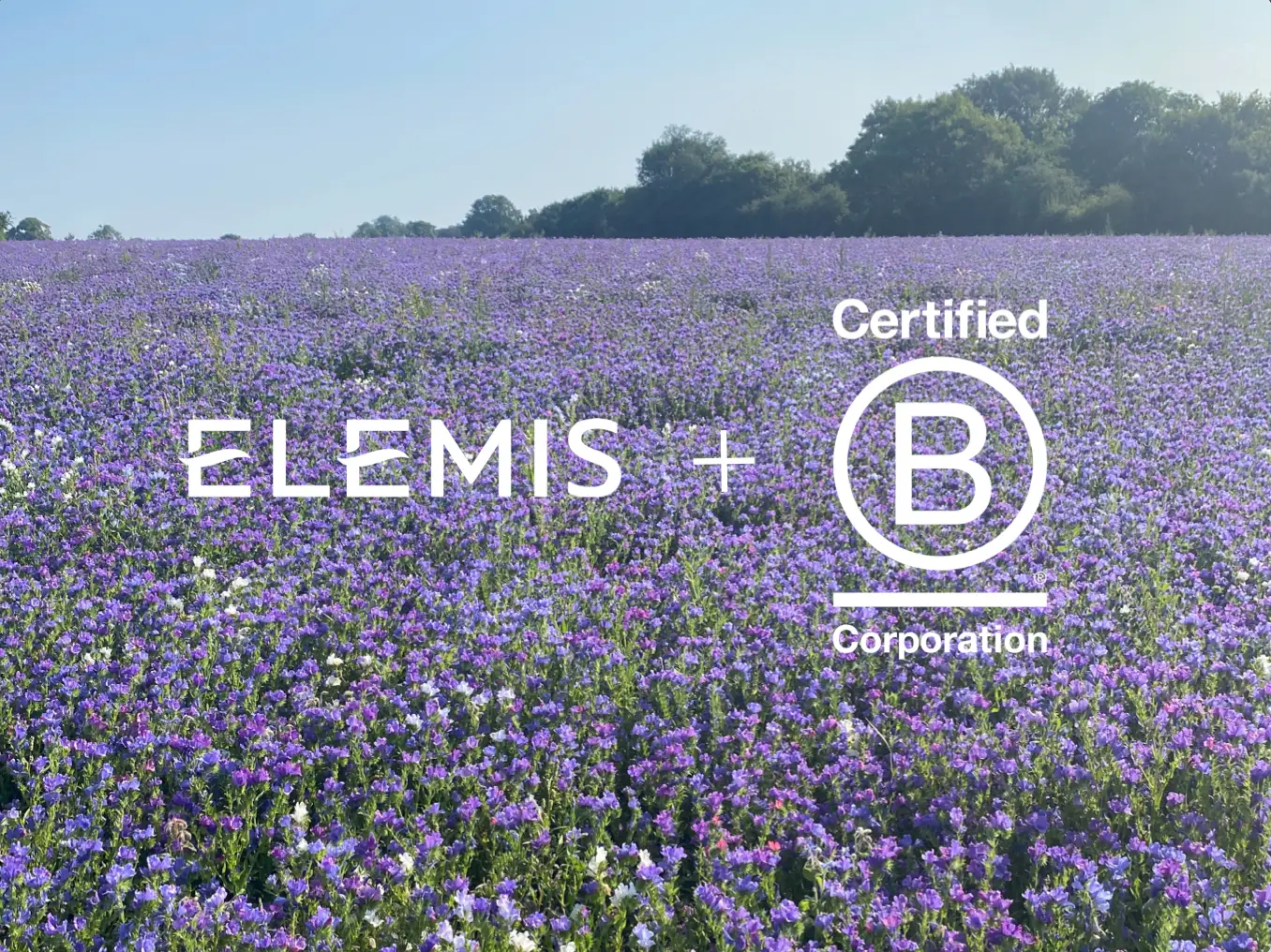 FIERI DI ESSERE B CORPO CERTIFICATI